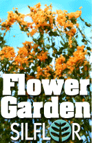Click to see Flower Garden